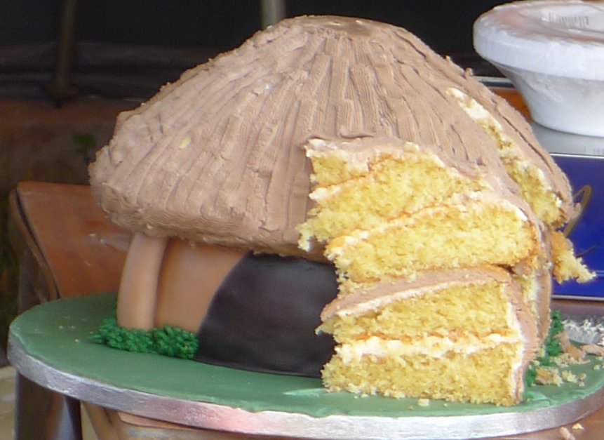 Mt Folly round house cake